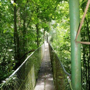 Hanging Bridges Costa Rica