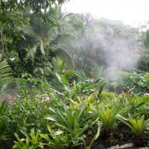 Costa Rica
