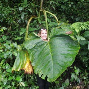Costa Rica