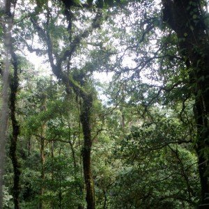 Costa Rica