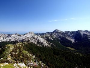 By Copyright (c) 2001 Pavle Cikovac (de:Benutzer:Orjen) - de.wikipedia (selbst fotografiert), CC BY-SA 3.0, https://commons.wikimedia.org/w/index.php?curid=960328