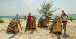 Camel Safari in Maroma Beach