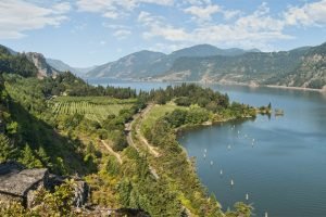 wine river cruise